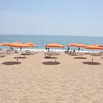 Palm 4*