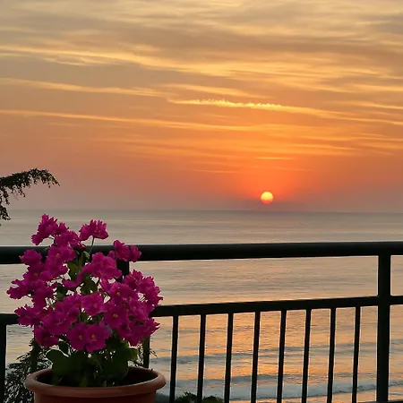 Palm Hotel Golden Sands