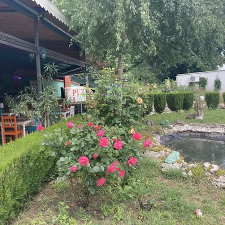 Palm 4* Złote Piaski
