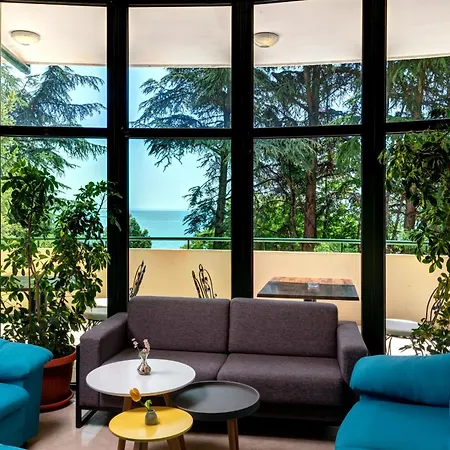 Palm 4*
