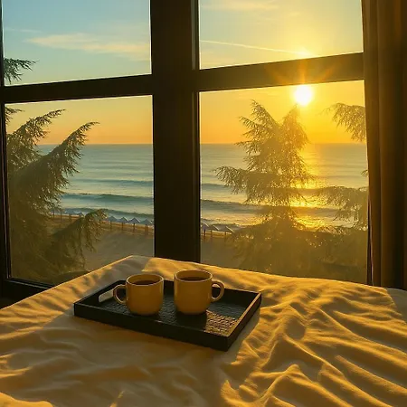 Hotel Palm