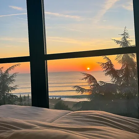 Palm Hotel 4*